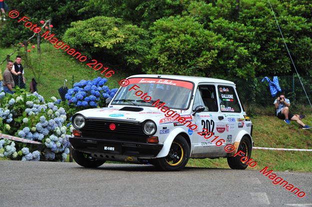 DSC_6565.JPG